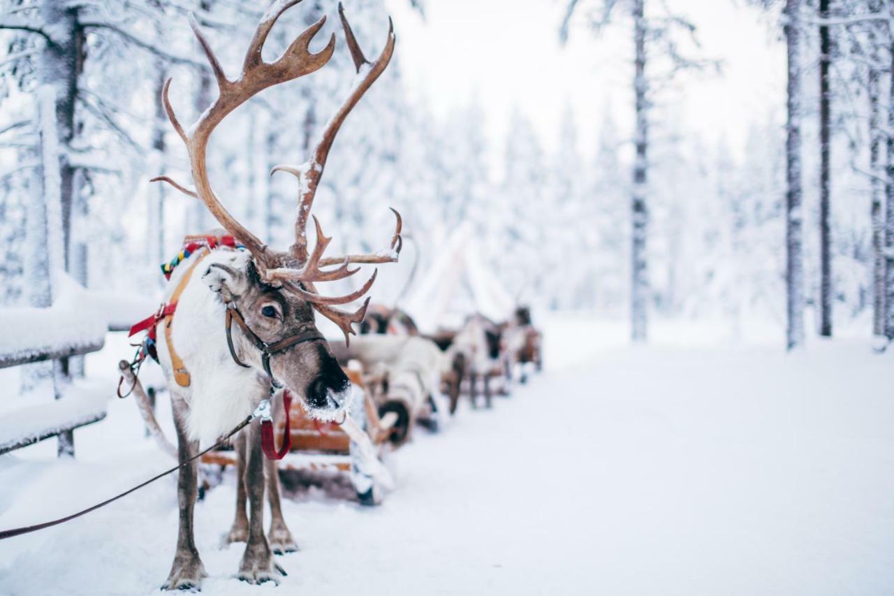 Forenom Serviced Apartments Rovaniemi Valtakatu Εξωτερικό φωτογραφία